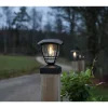 Star Trading Aurinkokennovalaisin Felix Ø14cm musta