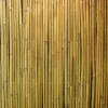 Home4you Bambuaita In Garden 150x300 cm