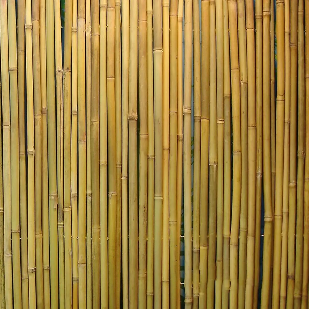 Home4you Bambuaita In Garden 150x300 cm