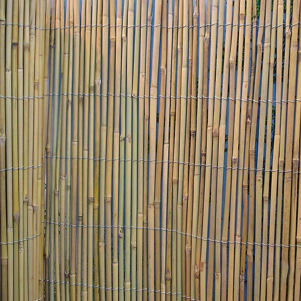 Home4you Bambuaita In Garden 100x500 cm