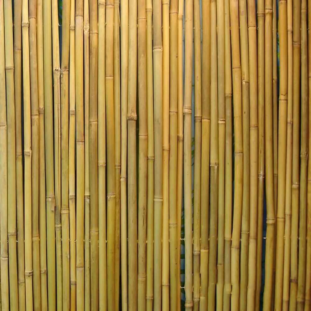 Home4you Bambuaita In Garden, 100x300cm