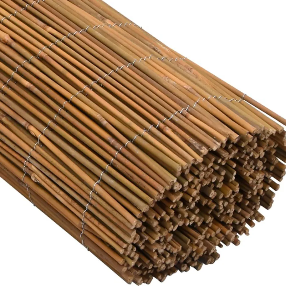 Sale FinePRICE Bambuaita 500x100 cm