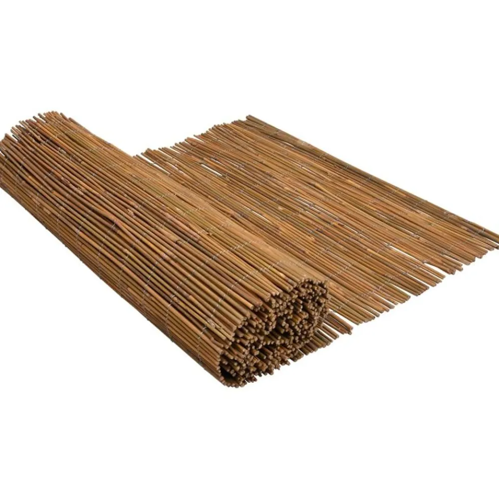 Sale FinePRICE Bambuaita 500x100 cm