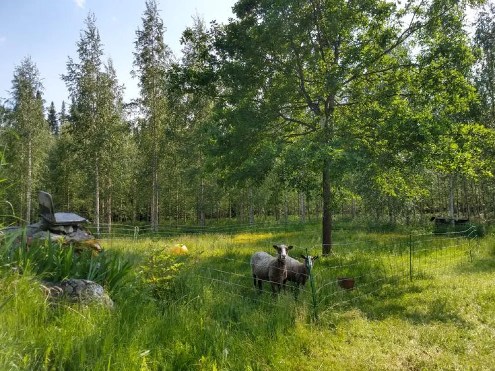 New AB Polar Eläinverkko Zn 1,2x50 m muuttuva silmäkoko (50 m)