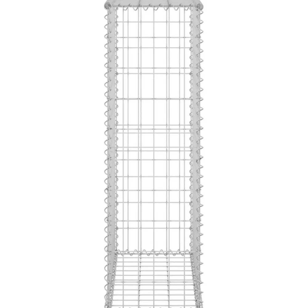 Sale FinePRICE Gabion-kivikori kansilla galvanoitu teräs 60x30x100 cm