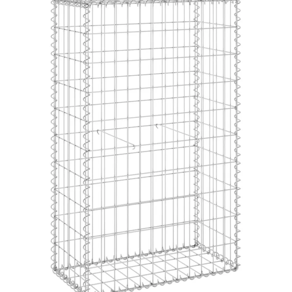 Sale FinePRICE Gabion-kivikori kansilla galvanoitu teräs 60x30x100 cm