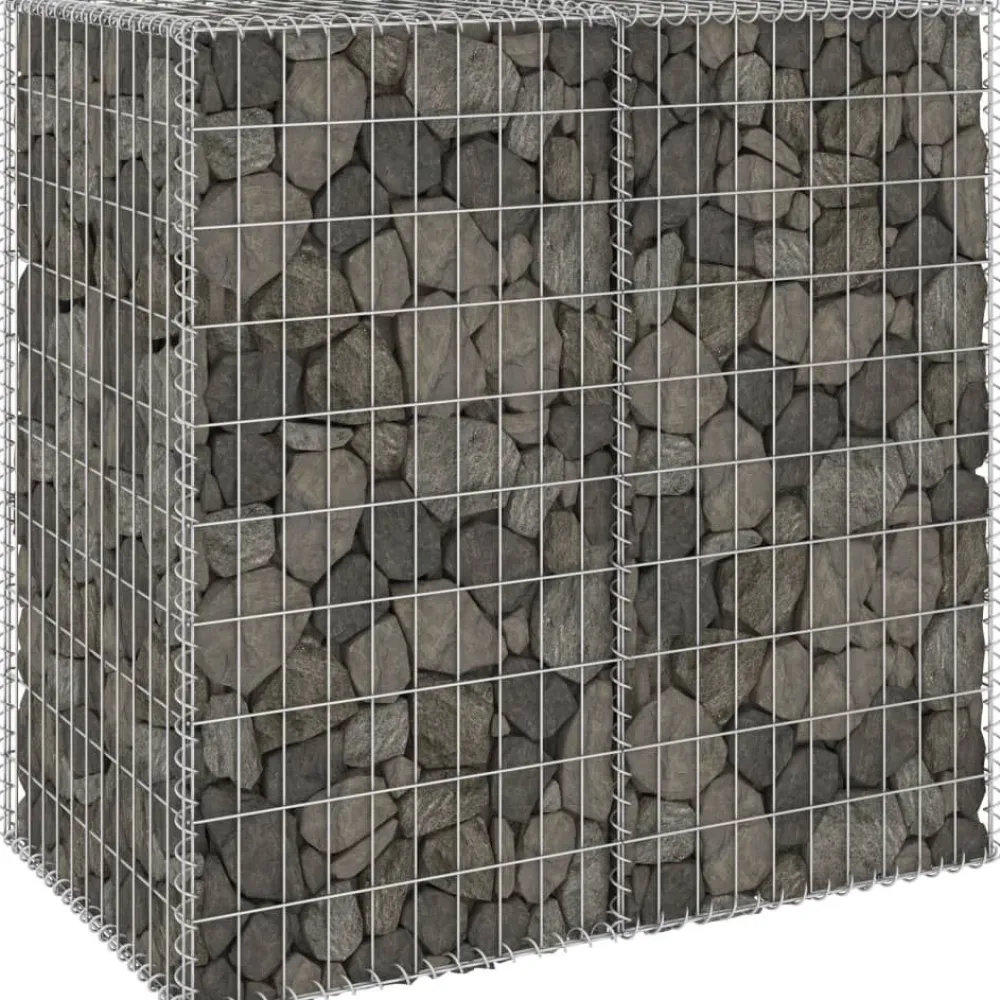 Clearance FinePRICE Gabion-kivikori kansilla galvanoitu teräs 100x60x100 cm