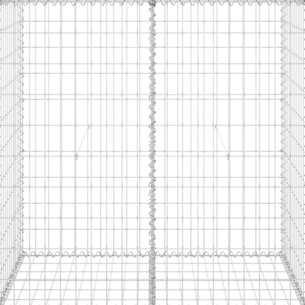 Clearance FinePRICE Gabion-kivikori kansilla galvanoitu teräs 100x60x100 cm