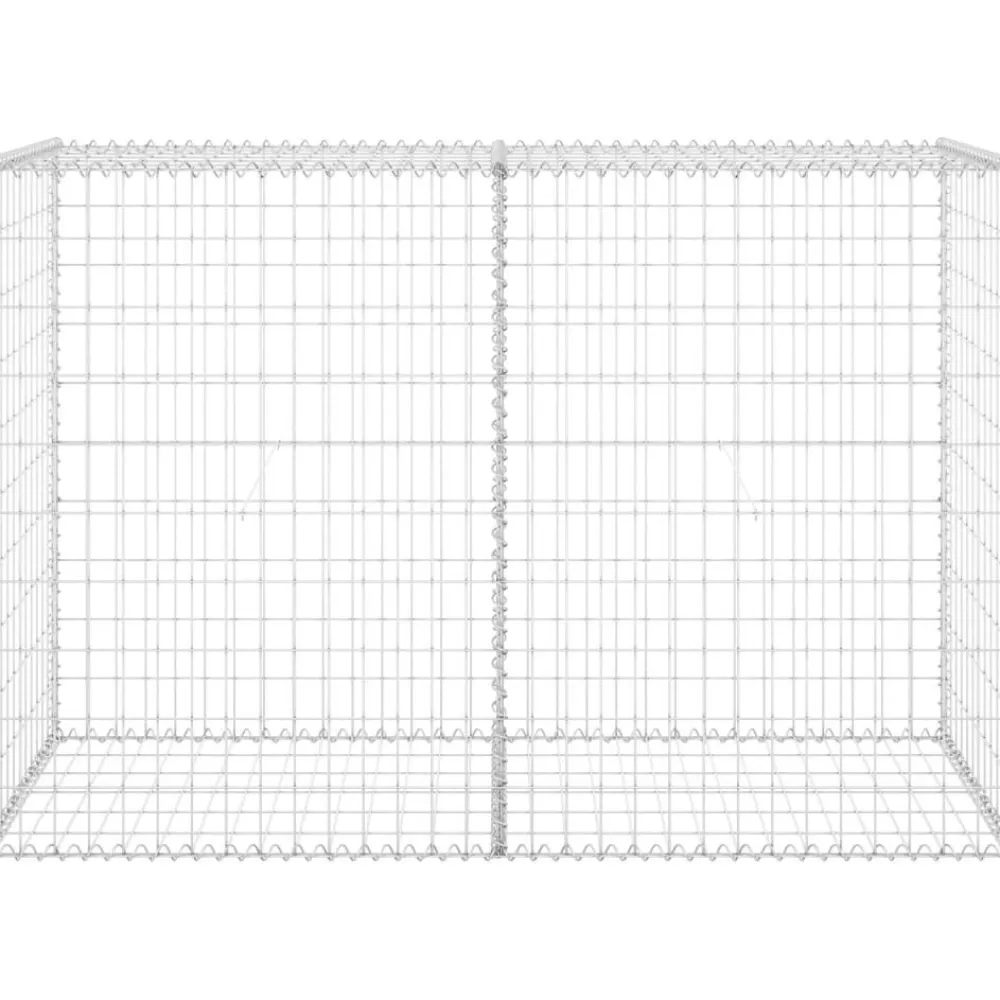 Sale FinePRICE Gabion-kivikori kansilla galvanoitu teräs 150x60x100 cm