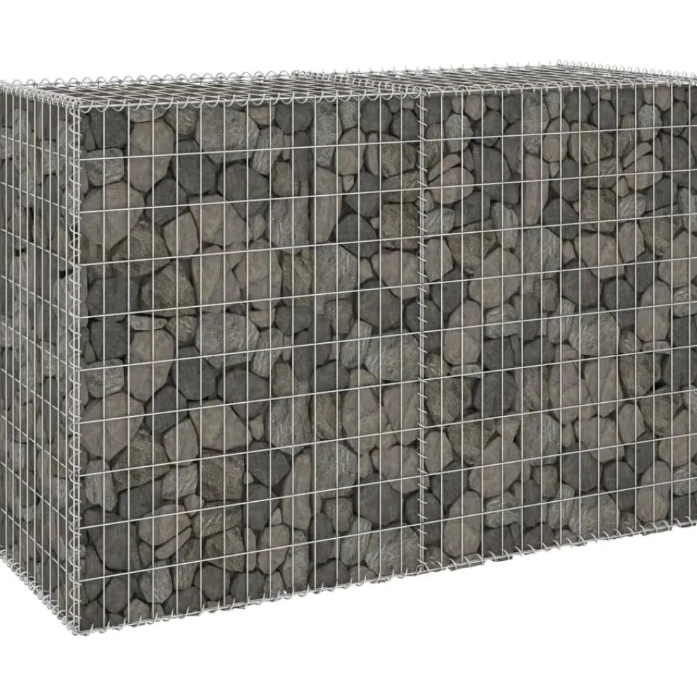 Sale FinePRICE Gabion-kivikori kansilla galvanoitu teräs 150x60x100 cm