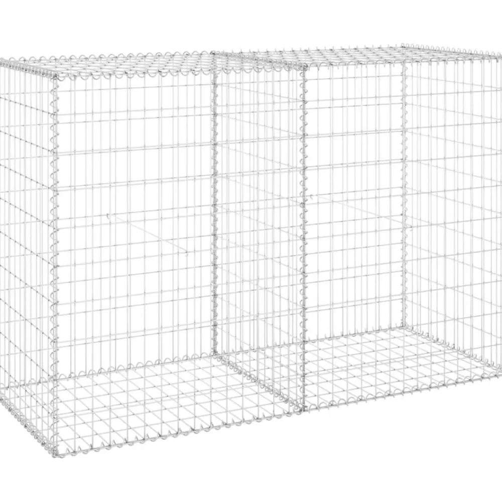 Sale FinePRICE Gabion-kivikori kansilla galvanoitu teräs 150x60x100 cm