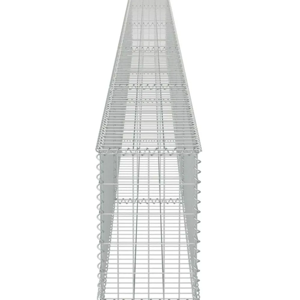 Discount FinePRICE Gabion-kivikori kansilla galvanoitu teräs 600x30x50cm