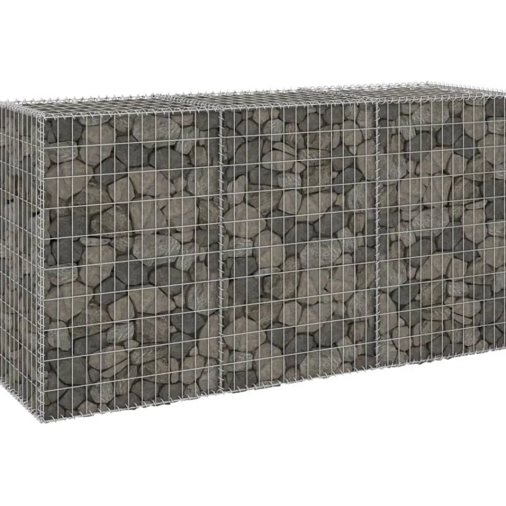 Best FinePRICE Gabion-kivikori kansilla galvanoitu teräs 200x60x100 cm