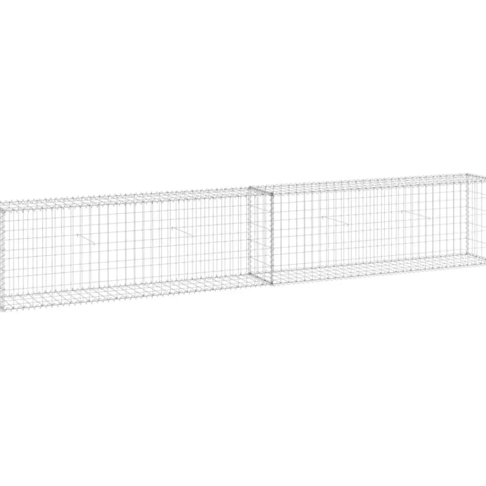 Online FinePRICE Gabion-kivikori kansilla galvanoitu teräs 300x30x50 cm
