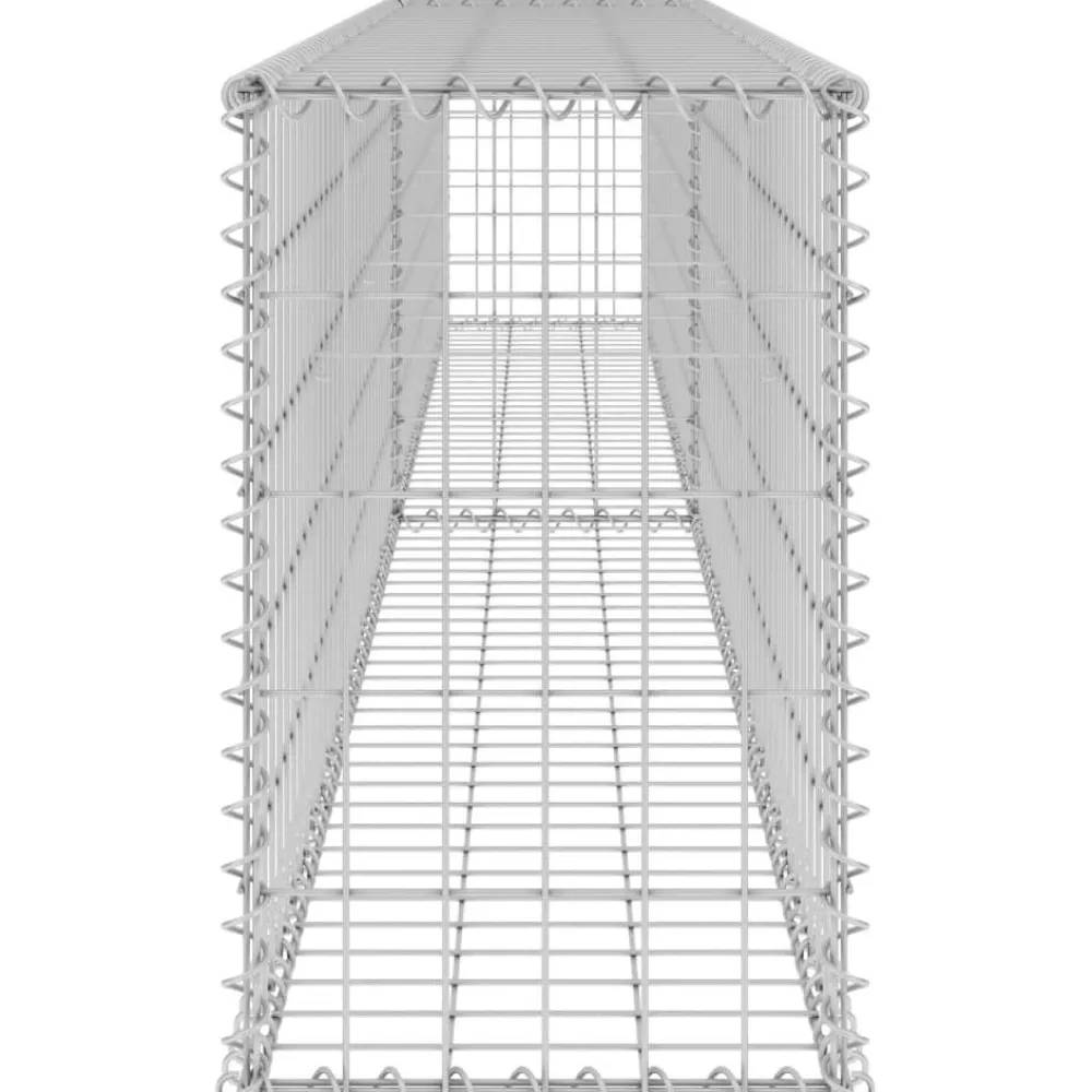 Online FinePRICE Gabion-kivikori kansilla galvanoitu teräs 300x30x50 cm