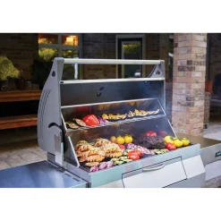 Sale Napoleon Hiiligrilli PRO605