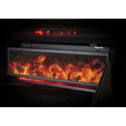 Sale Napoleon Hiiligrilli PRO605