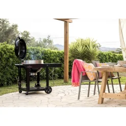 Discount Napoleon Hiiligrilli PRO22K-CART-3