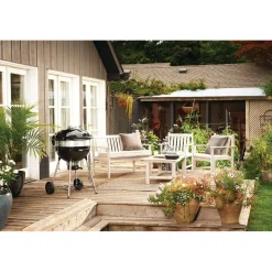 Sale Napoleon Hiiligrilli PRO22-L-3