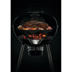 Sale Napoleon Hiiligrilli PRO22-L-3