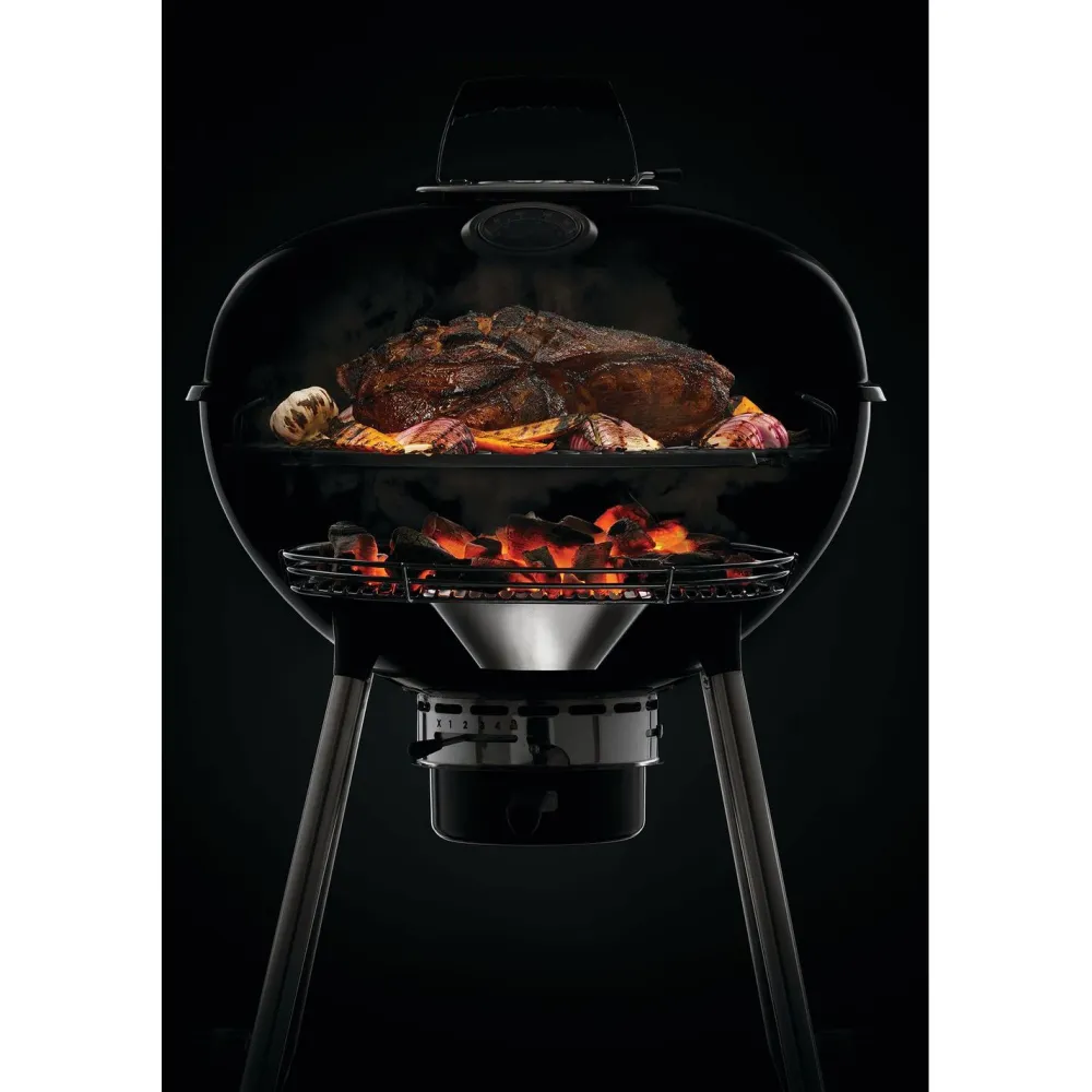 Sale Napoleon Hiiligrilli PRO22-L-3