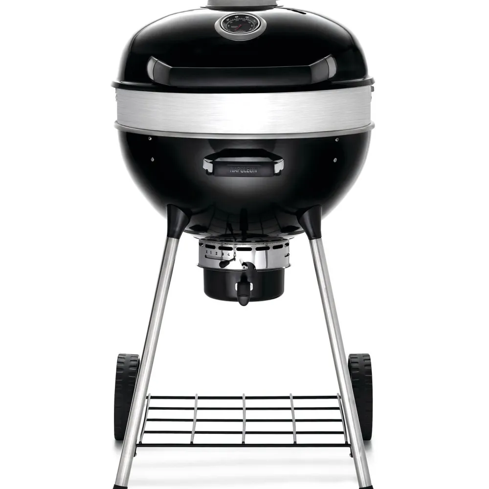 Sale Napoleon Hiiligrilli PRO22-L-3