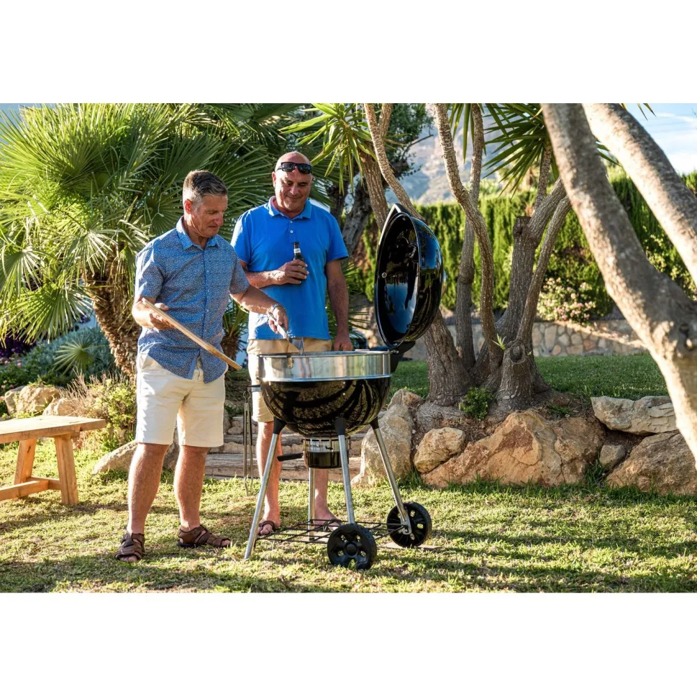 Sale Napoleon Hiiligrilli PRO22-L-3