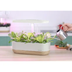 Outlet Greenline Hydroponinen vesiviljelyjärjestelmä Urban Growing P10