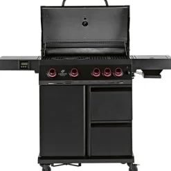Clearance Landmann Kaasugrilli Rexon Cool Black MaxX 4.1, 4 poltinta, infrapunasivukeitin