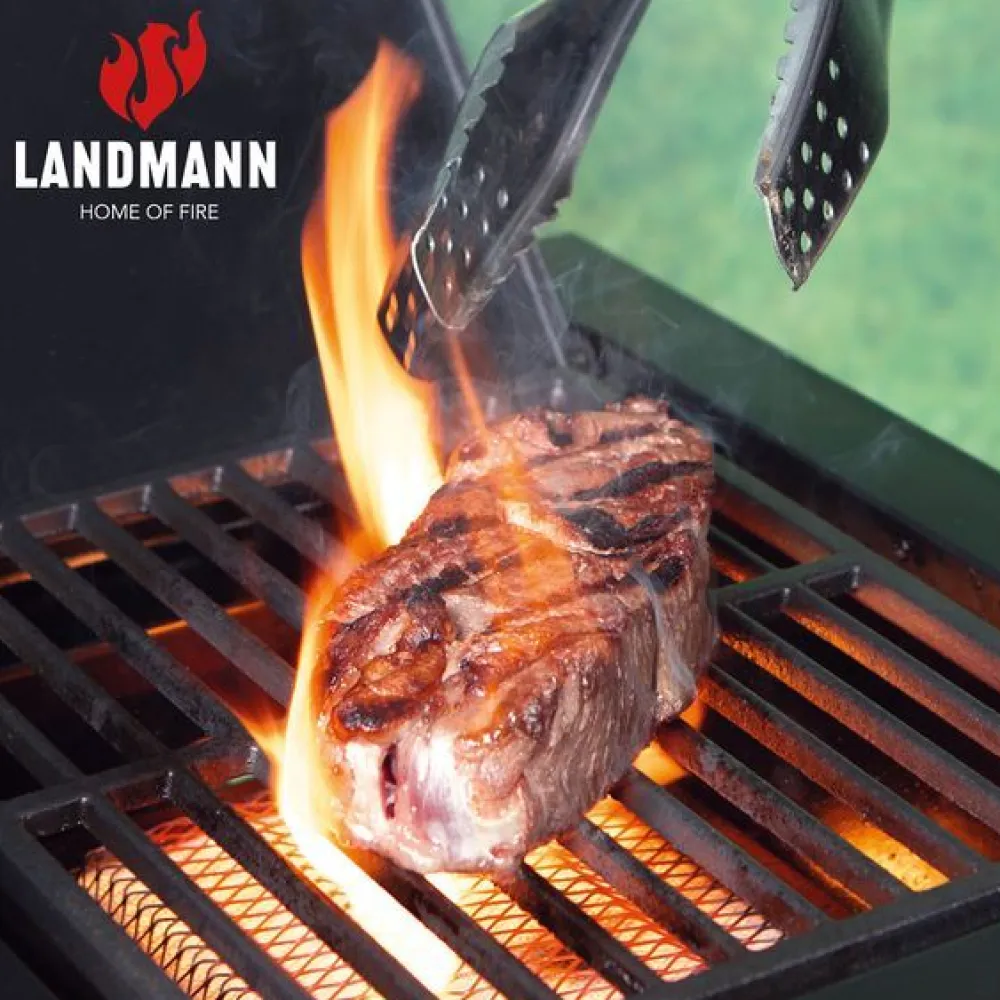 Clearance Landmann Kaasugrilli Rexon Cool Black MaxX 4.1, 4 poltinta, infrapunasivukeitin
