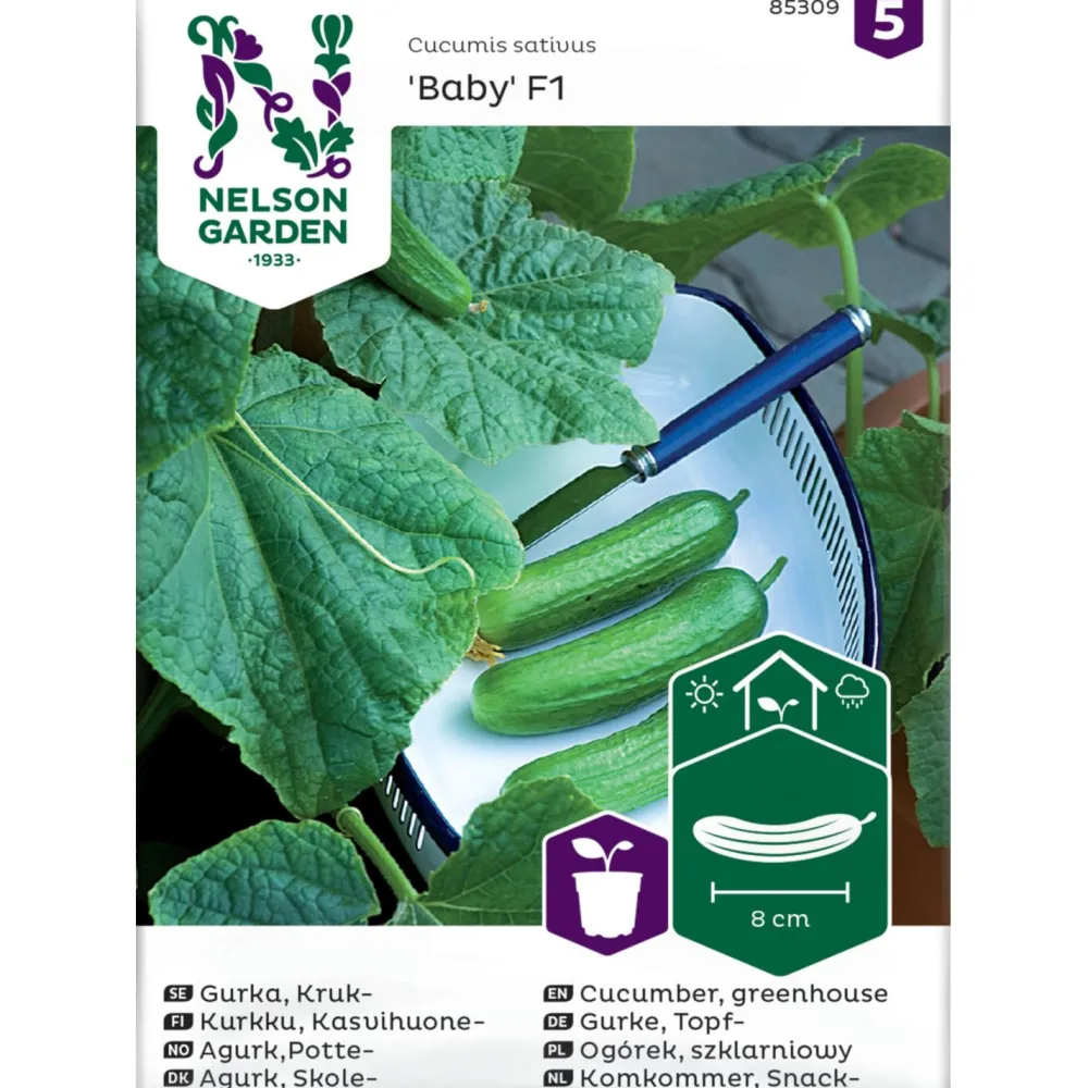 Outlet Nelson Garden Kasvihuonekurkku Baby F1, siemenet