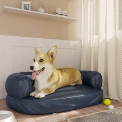 Online FinePRICE Koiransänky ergonominen vaahtomuovi, eri kokoja ja värejä