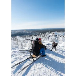 Hot Esla Koirarekikelkka Adventure