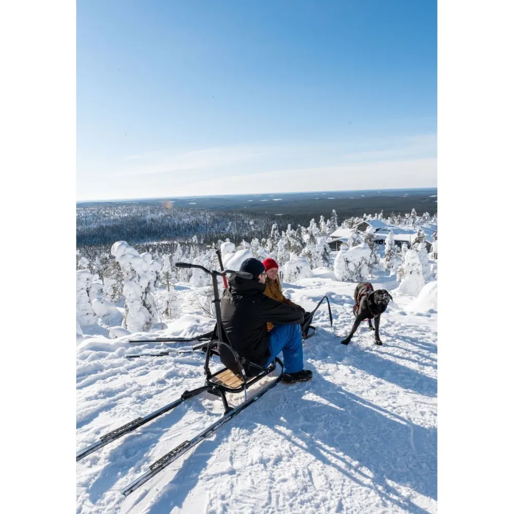Hot Esla Koirarekikelkka Adventure