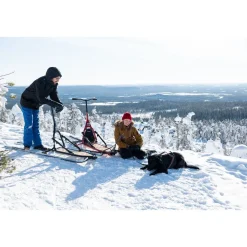 Hot Esla Koirarekikelkka Adventure