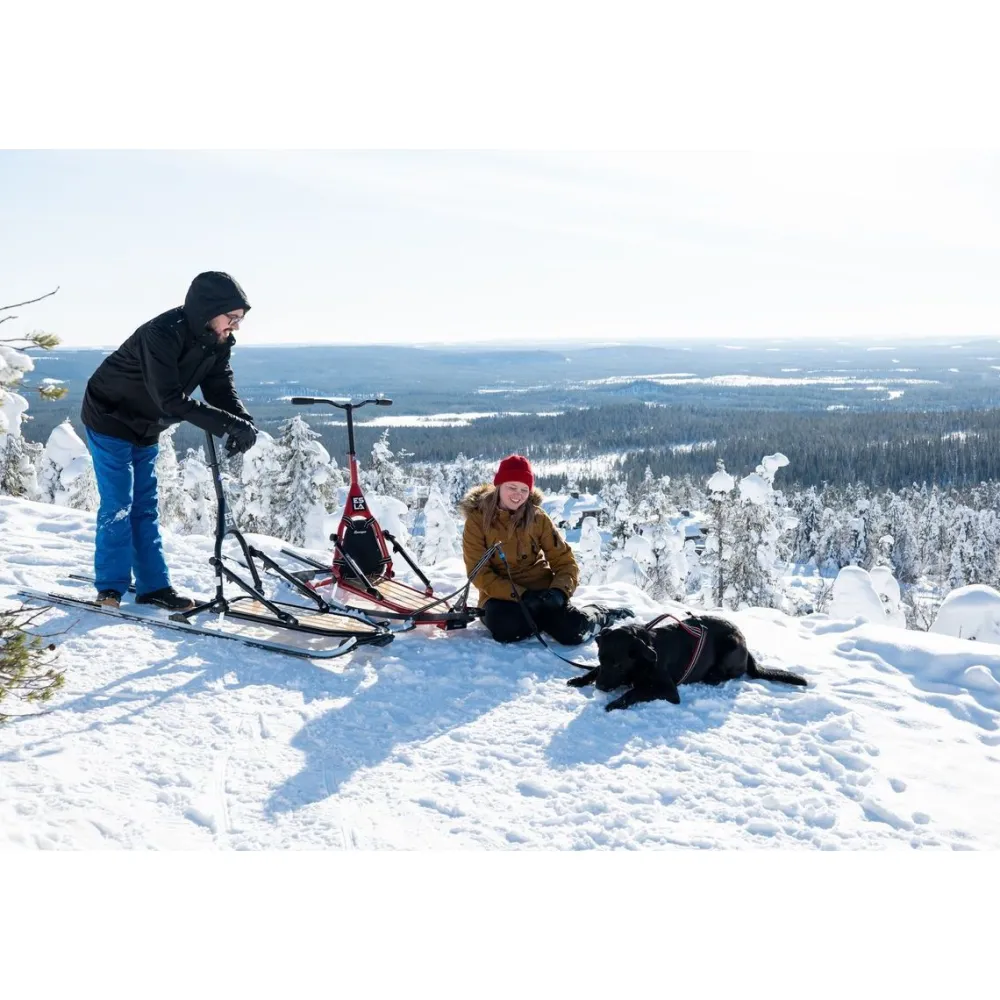 Hot Esla Koirarekikelkka Adventure