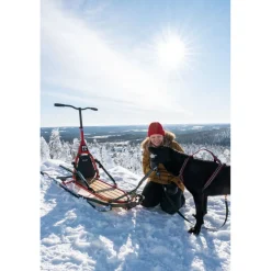 Esla Koiravarustepaketti jarrulla Adventure