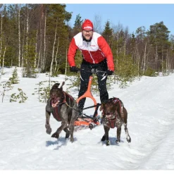 Esla Koiravarustepaketti jarrulla Adventure