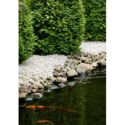 New Kekkilä Koristekivi Valkoinen Gabro 5-12 mm 42 säkkiä x 25 kg lava 1050 kg