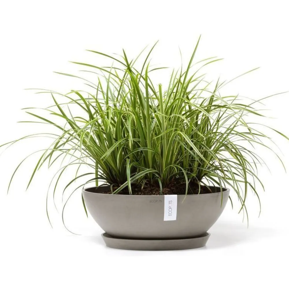 Clearance Ecopots Kukkaruukku Vienna, eri kokoja ja värejä