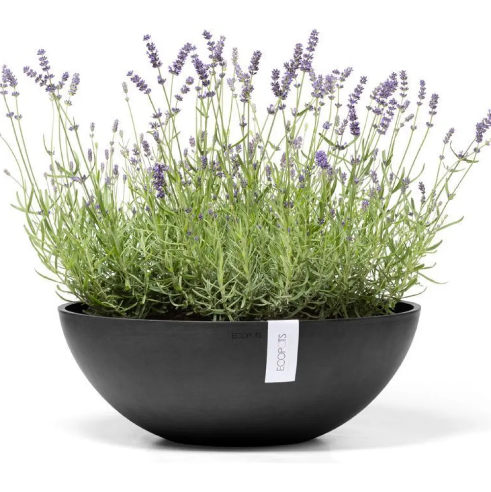 Clearance Ecopots Kukkaruukku Vienna, eri kokoja ja värejä