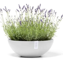 Clearance Ecopots Kukkaruukku Vienna, eri kokoja ja värejä