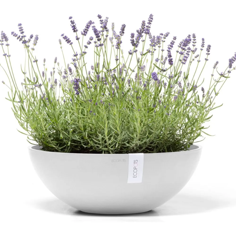 Clearance Ecopots Kukkaruukku Vienna, eri kokoja ja värejä