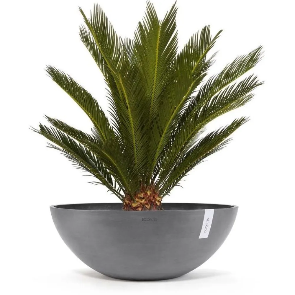 Clearance Ecopots Kukkaruukku Vienna, eri kokoja ja värejä