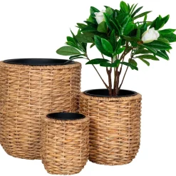 Clearance House Nordic Kukkaruukku Hanoi, 3kpl, vesihyasintti, ruskea