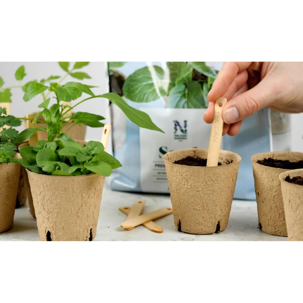 Clearance Nelson Garden Kylvömulta Premium