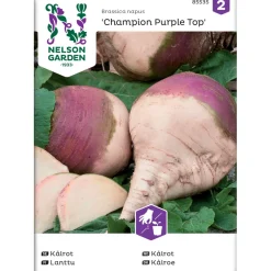 Sale Nelson Garden Lanttu Champion Purple Top, siemenet