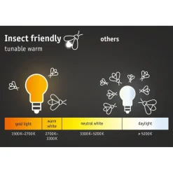 Hot Paulmann LED-terassivalaisin Plug & Shine, Smart Home Zigbee 3.0, IP65, säädettävä värilämpötila, musta