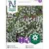 Hot Nelson Garden Morsiusharso , siemenet