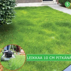 Best Turfquick Nurmikon siemenmatto Villa Classic, 10 m²